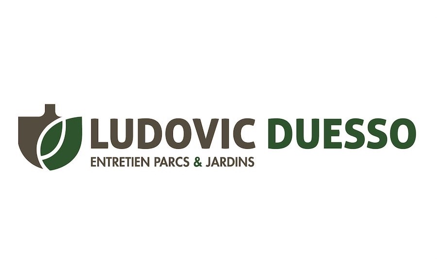 LUDOVIC DUESSO